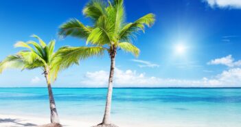 МВД раскрыло новую схему кражи денег через сервисы совместных поездок