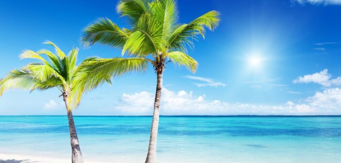 МВД раскрыло новую схему кражи денег через сервисы совместных поездок