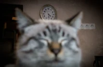 Россиянам предстоит четырехдневная рабочая неделя и длинные выходные