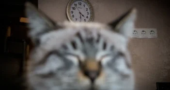 Россиянам предстоит четырехдневная рабочая неделя и длинные выходные