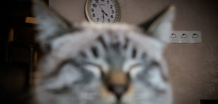 Россиянам предстоит четырехдневная рабочая неделя и длинные выходные