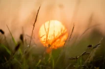 Солнце произвело мощнейшую вспышку класса X впервые в 2026 году