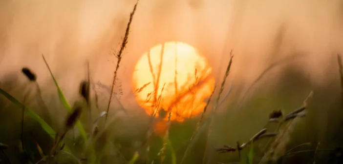 Солнце произвело мощнейшую вспышку класса X впервые в 2026 году