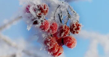 Москву накроют аномальные морозы до конца первой недели февраля