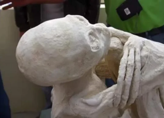 В телах «инопланетных» мумий из Перу нашли чешую рептилии