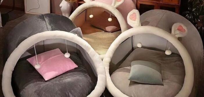 Япония пересаживает офисных сотрудников в лежанки для котов