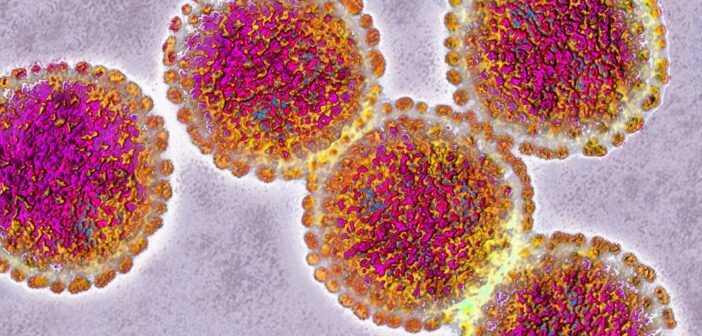 ВОЗ ошиблась выбирая вакцину от гриппа в сезоне 2026 года