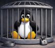 Роскомнадзор случайно заблокировал доступ к Linux в России