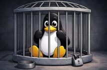 Роскомнадзор случайно заблокировал доступ к Linux в России