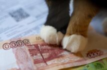 Россияне столкнулись с рекордным ростом коммунальных платежей