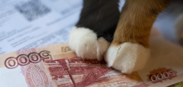 Россияне столкнулись с рекордным ростом коммунальных платежей