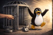 Роскомнадзор заявил, что не блокирует Linux в России и доступ к нему появился