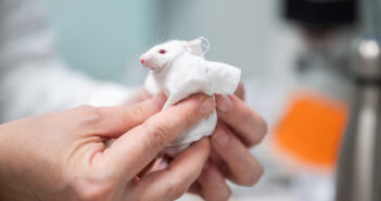 В России создали «умный» хлопок, который уничтожает бактерии и грязь