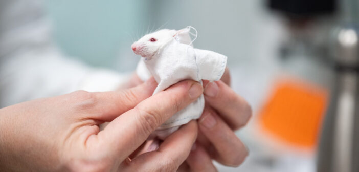 В России создали «умный» хлопок, который уничтожает бактерии и грязь