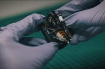 Немецкий стартап начал поставки насекомых-киборгов для Бундесвера