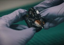 Немецкий стартап начал поставки насекомых-киборгов для Бундесвера