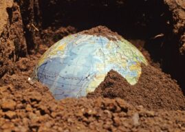 Биолог Пол Эрлих считает, что Земля на грани шестого вымирания