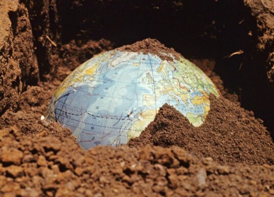 Биолог Пол Эрлих считает, что Земля на грани шестого вымирания