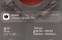 Мобильная игра «Дурак онлайн» стала заменой Telegram в России