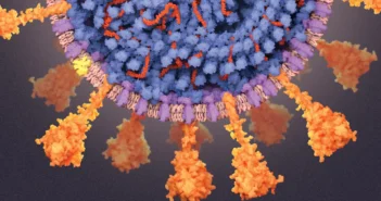 В России эпидемия COVID-19, новый штамм «Стратус» вызывает тяжелые аллергические отёки