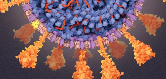 В России эпидемия COVID-19, новый штамм «Стратус» вызывает тяжелые аллергические отёки