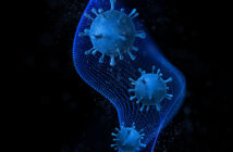 Ученые раскрыли новый путь проникновения коронавирусов в клетки человека