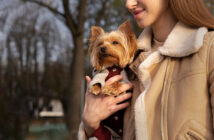 Госдума рассмотрит закон о всеобщей маркировке домашних животных