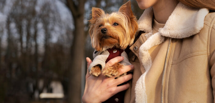Госдума рассмотрит закон о всеобщей маркировке домашних животных