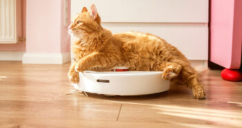 Техника Xiaomi по всей России перестала подчиняться владельцам