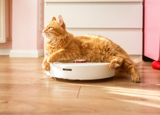 Техника Xiaomi по всей России перестала подчиняться владельцам