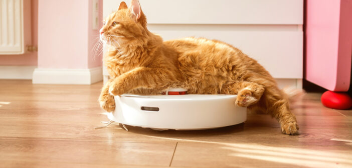 Техника Xiaomi по всей России перестала подчиняться владельцам