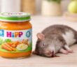 В Европе в детском питаниии HiPP обнаружен крысиный яд