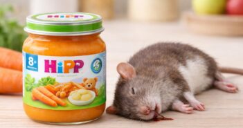 В Европе в детском питаниии HiPP обнаружен крысиный яд
