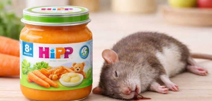 В Европе в детском питаниии HiPP обнаружен крысиный яд