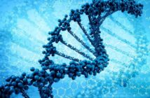 Российские ученые первыми в мире заблокируют ген старения