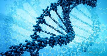 Российские ученые первыми в мире заблокируют ген старения