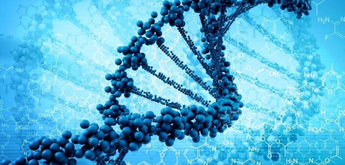 Российские ученые первыми в мире заблокируют ген старения