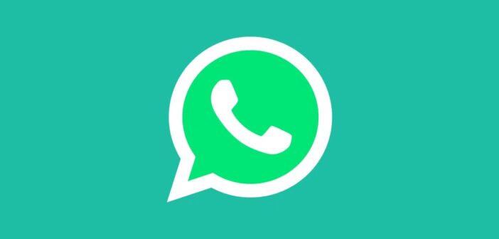 WhatsApp запускает платную подписку Plus на iOS