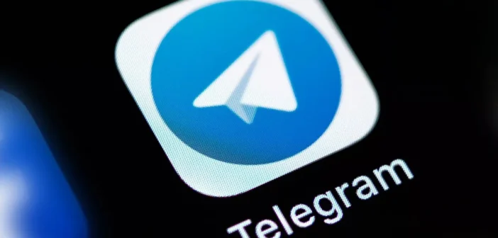 Замглавы Роскомнадзора заявил об успешной блокировке Telegram