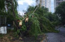 Ураган в Ростове-на-Дону: введен режим ЧС