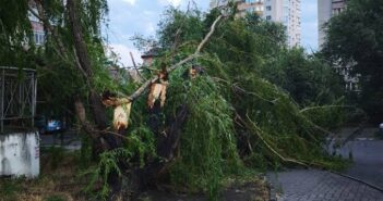 Ураган в Ростове-на-Дону: введен режим ЧС