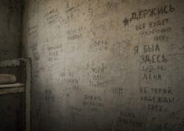 В России заработал платный тюремный мессенджер