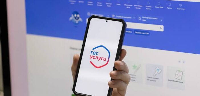 До 1 сентября — неделя, а ответа нет уже три: клиент REG.RU не может подтвердить домен через «Госуслуги»