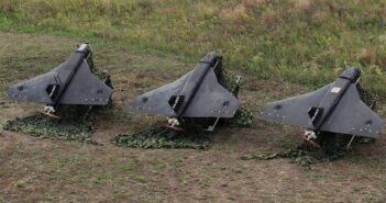 БПЛА «Гербера»: что это за дрон и чем он отличается от «Герани-2»