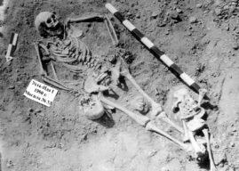 Чума всё ещё убивает: может ли повториться Чёрная смерть