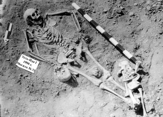 Чума всё ещё убивает: может ли повториться Чёрная смерть